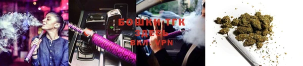 ГАЛЛЮЦИНОГЕННЫЕ ГРИБЫ Алзамай