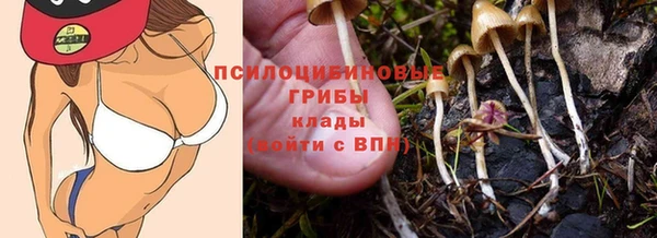 ГАЛЛЮЦИНОГЕННЫЕ ГРИБЫ Алзамай