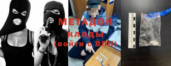 прущие грибы Абаза